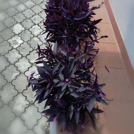 Privat Kovacova Villa จิอาร์ ภายนอก รูปภาพ