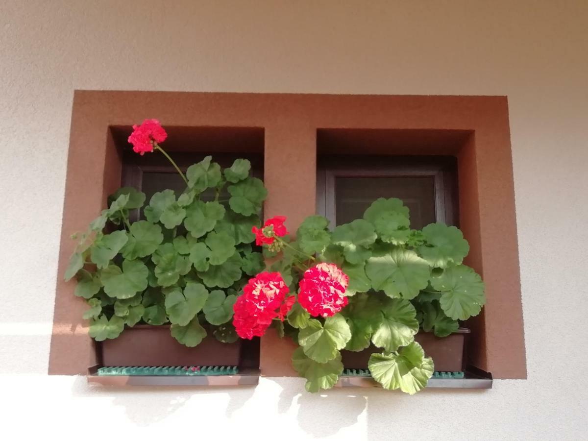 Privat Kovacova Villa จิอาร์ ภายนอก รูปภาพ